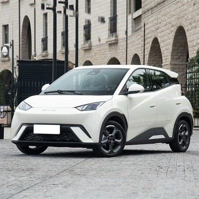 BYD GAIVOTA EV